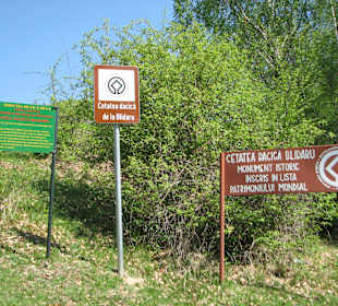 Outside of Blidaru fortress