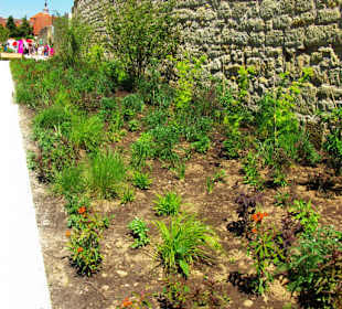 Entlang der Stadtmauer 