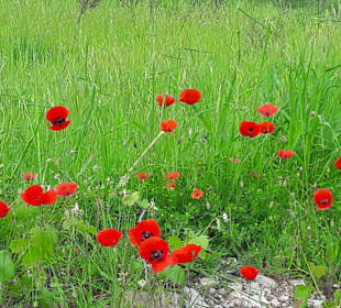 Wandern Beycik 