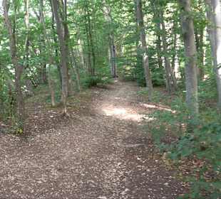 Tour entlang der Traifelbergfelsen
