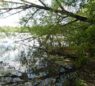 Naturschutzgebiet Boberger Niederung