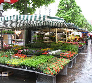 Пятничная ярмарка