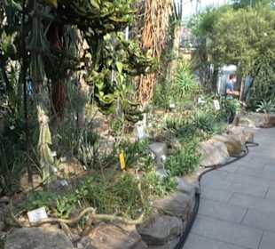 Gewächshäuser Botanischer Garten
