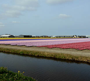 Wandern Noordwijkerhout