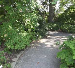 Botanischer Garten
