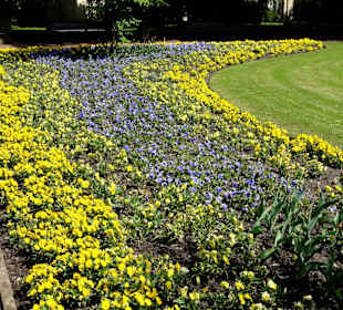 Blühende Beete im Stadthallengarten