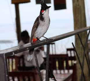 Tour durch den Süden