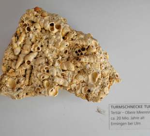 Geopark Schwäbische Alb 