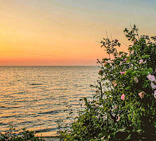 Strand Bakenberg auf Rügen