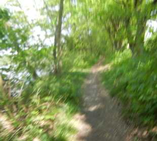 Naturschutzgebiet Boberger Niederung