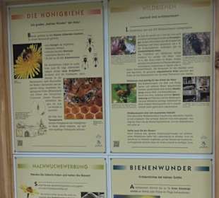 Blühendes Neresheim