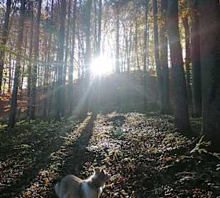 Wandern Fehring