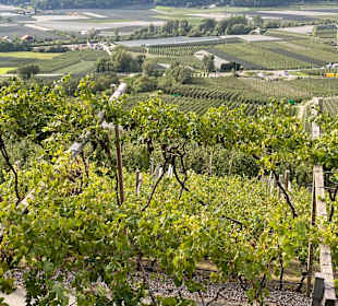 Wandern Naturno / Naturns