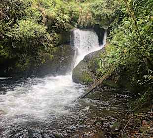 Nationalpark Tapantí