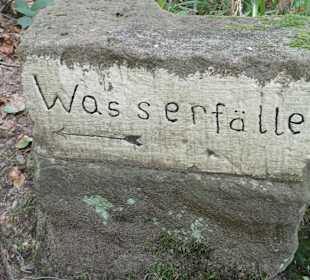 Wandern Bannwald Baiersbronn 