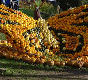 Kürbisausstellung