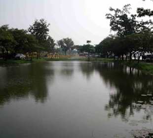 Kleinere Teiche daneben