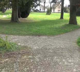 Schloss Königsegg Mittelzell