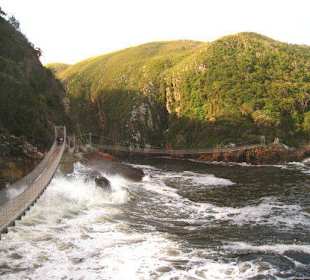 Tsitsikamma National Park Hängebrücke