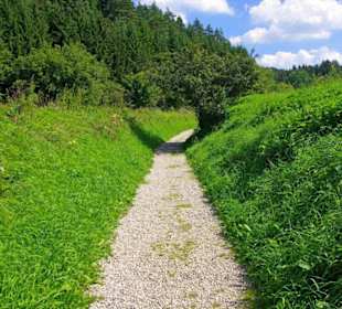 Der Therapeutische Wanderweg
