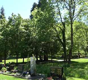Friedhof Gönningen