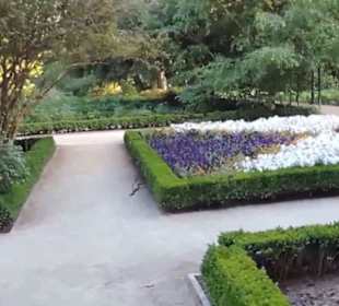 Real Jardín Botánico de Madrid