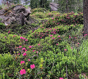 Wandern Saltaus in Passeier