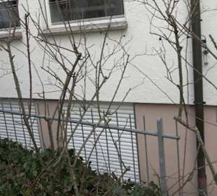 Evangelisches Gemeindehaus Neckarhausen