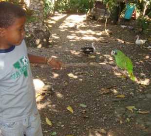 Junge mit seinem zahmen Papagei