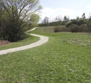 Sport- und Freizeitpark Markwasen