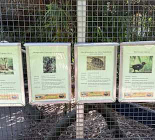 Irrland Bauernhof-Erlebnisoase