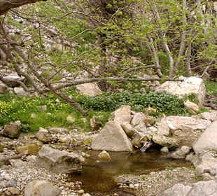 Avakás-Schlucht: Bachlauf