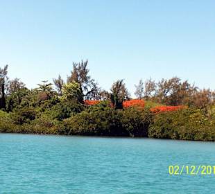 Anfahrt auf die Ile aux Cerfs