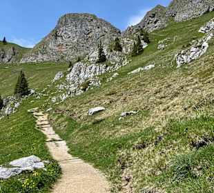 Wandern Schliersee