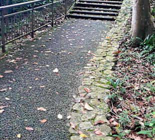 Marang Trail auf den Mount Faber
