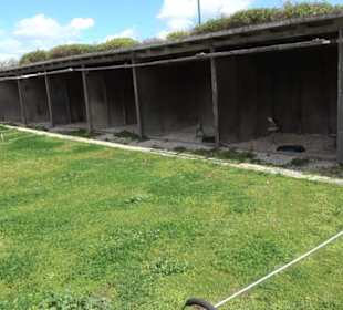 Malta Falconry Centre