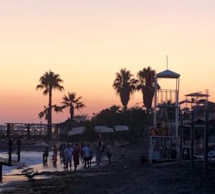 Strand Avsallar