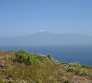 Wanderung zur Playa de la Guancha