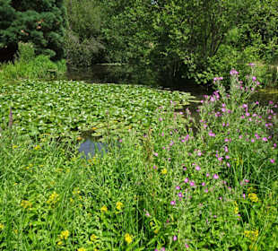 Impressionen aus dem Botanischen Garten Düsseldorf