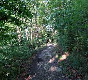 Wanderwege auf dem Kapuzinerberg