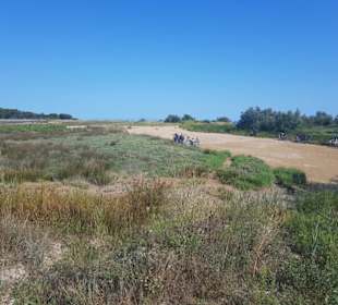 Rechts wäre der Strandbereich