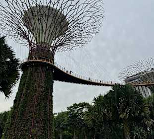 Gardens by the Bay