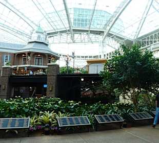 Blick auf die Tafeln der Wasserspender aus aller Welt