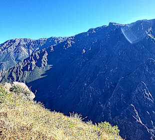 Colca-Canyon