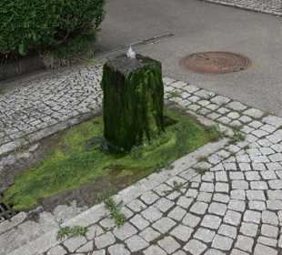 Rathaus Grünmettstetten