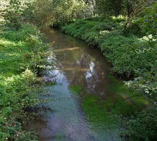 Rundgang durch den Edgar-Deichmann-Park