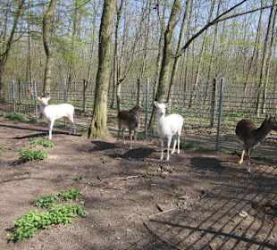 Vogelpark Graben-Neudorf