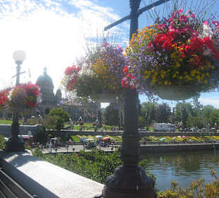 Victoria alle gleich