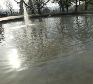 Rosensteinpark