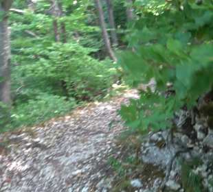 Tour entlang der Traifelbergfelsen